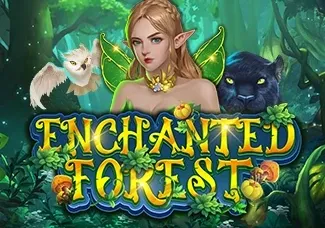 Enchanted Forest thumbnail